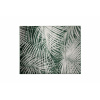Carpet Palm 170x240 by day