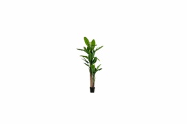 Bananenplant kunstplant groen 195cm