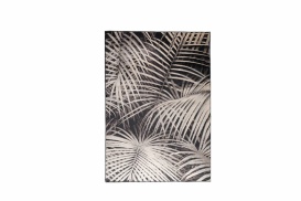 Carpet Palm 200x300 by night