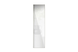 Doutzen Spiegel Metaal Goud 200x55cm