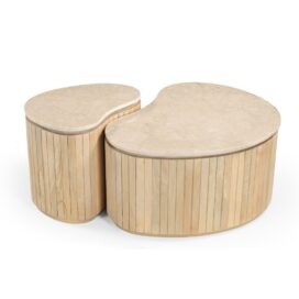 Livingfurn Brix Organische Salontafel Sorai - Mangohout Natural Bottecino Marmer (Set van 2)